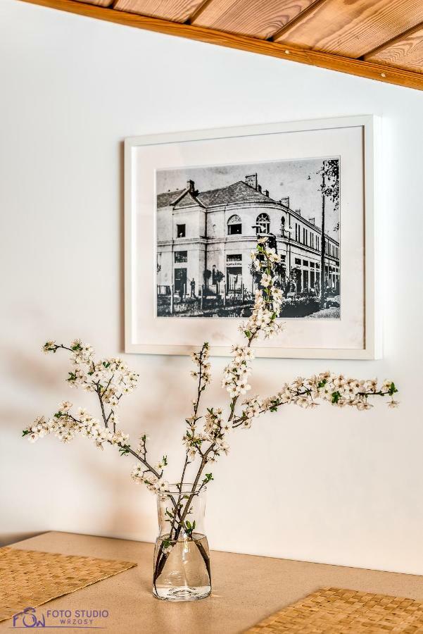 Apartamenty Zdrojowa Ciechocinek Extérieur photo